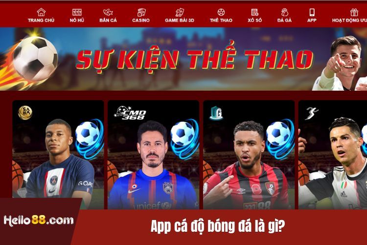 App cá độ bóng đá là gì?