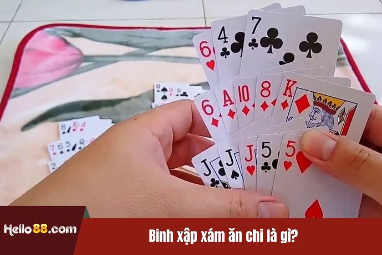 Binh xập xám ăn chi là gì?