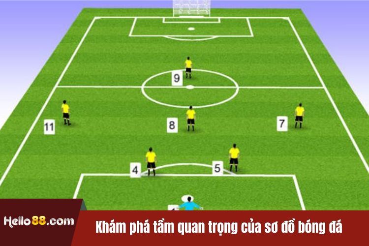 Khám phá tầm quan trọng của sơ đồ bóng đá