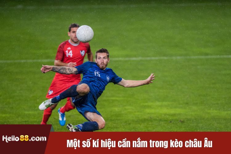 Một số kí hiệu cần nắm trong kèo châu Âu