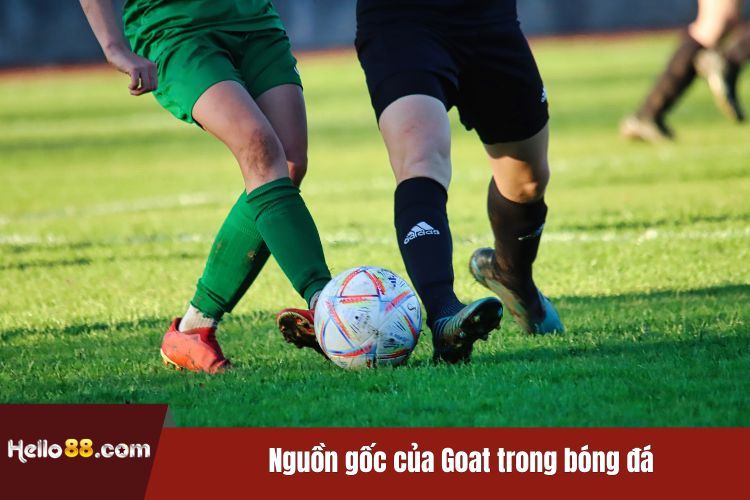 Nguồn gốc của Goat trong bóng đá