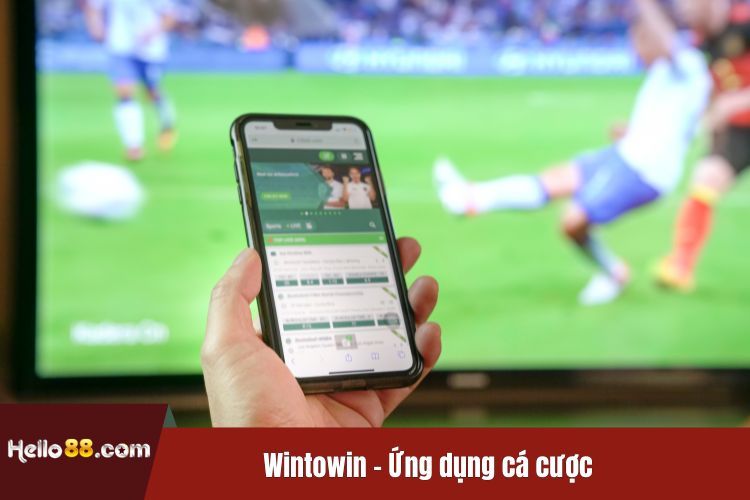 Wintowin - Ứng dụng cá cược được nhiều người thích